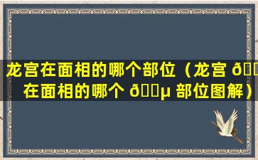 龙宫在面相的哪个部位（龙宫 🌸 在面相的哪个 🌵 部位图解）